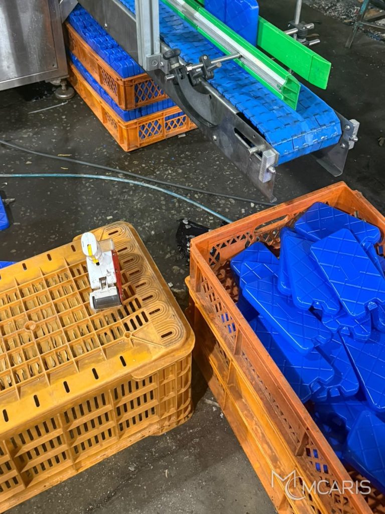 Konveyörden kasalara alınan mavi MCARIS buz aküleri